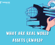 The Key To The Future Of Finance: 7 Real-World Asset Trends For 2024