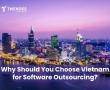Important pros and cons of using Vietnam’s software builders