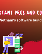 Why Should You Choose Vietnam for Software Outsourcing?﻿