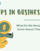 How To Build An MVP: Steps, Benefits, And Cost 